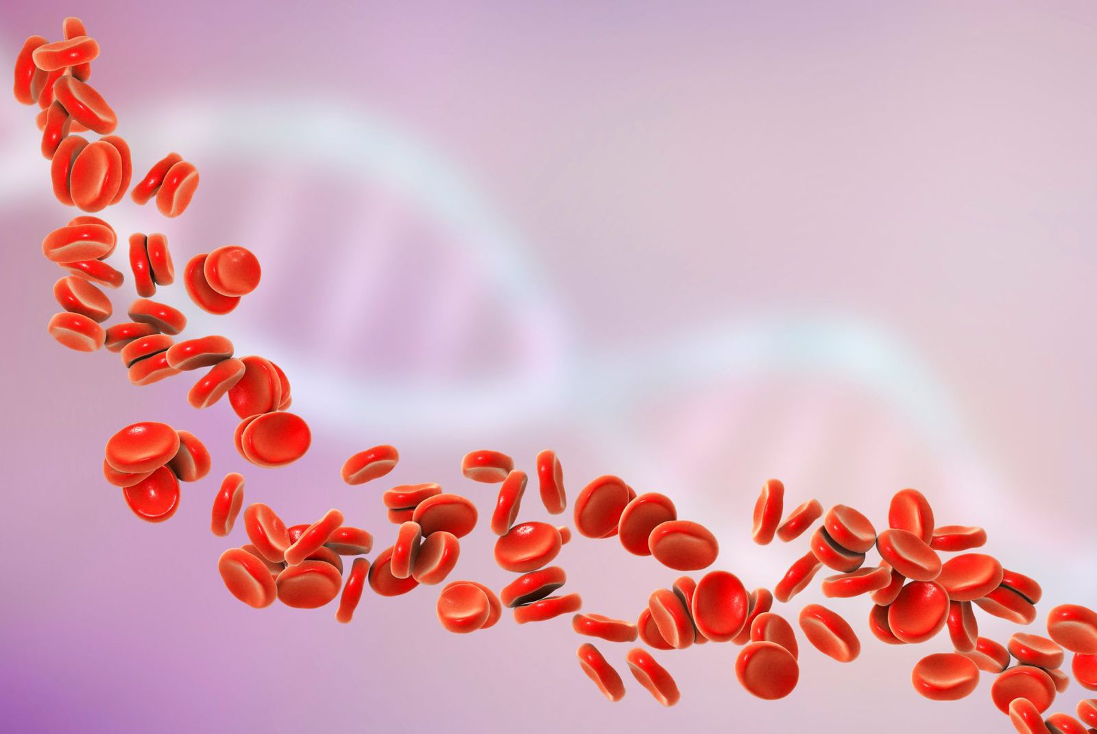 Talassemia: entenda a doença genética que afeta a produção de hemoglobina