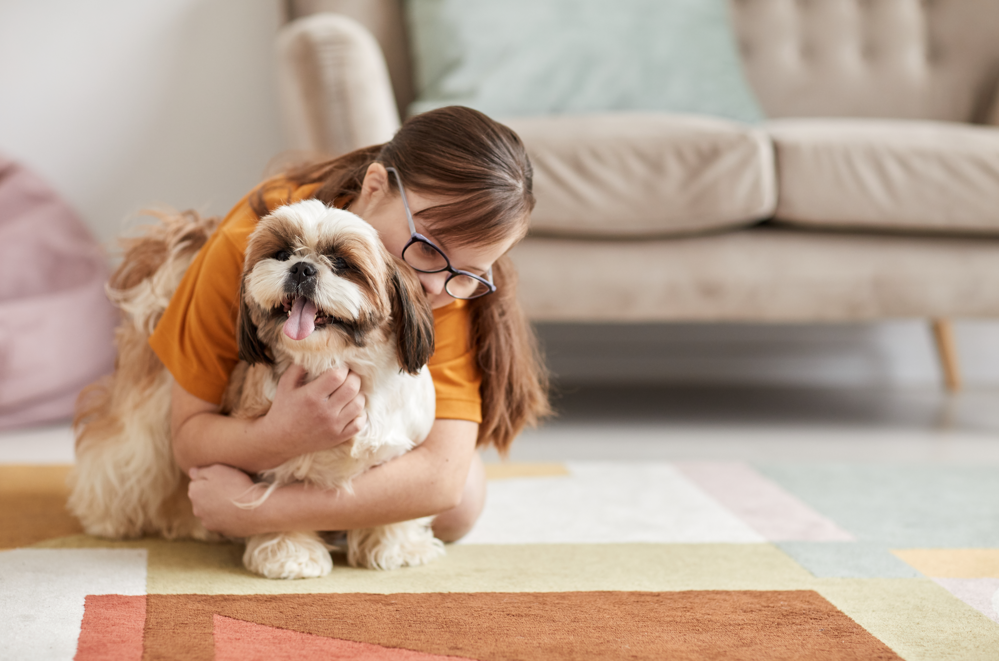 Animal de assistência emocional