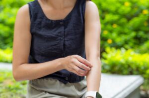 doenças transmitidas por mosquitos
